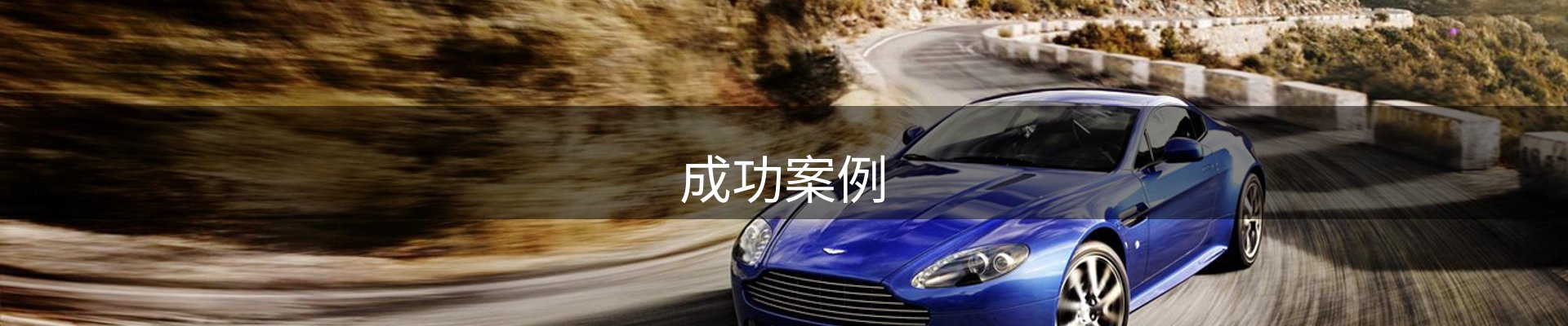 成功案例